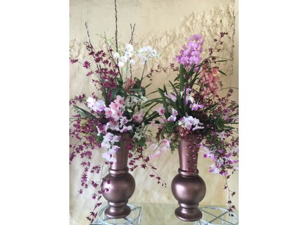  Flores: Orquideas para presentear: 