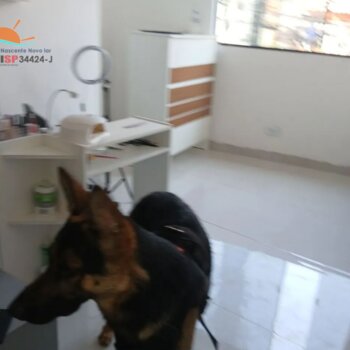Vende sobrado comercial