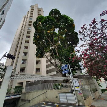 Lindo apartamento para locação na Região da Bela Vista!