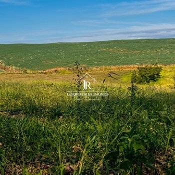 Fazenda de 85,0 hás em Alfenas MG