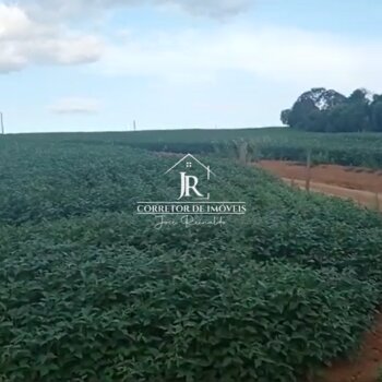Fazenda de 30 Alqueires - Alfenas MG