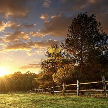 FAZENDA 525 ALQUEIRES  APARECIDA DO TABOADO  MS