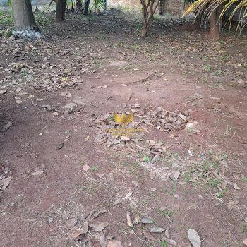 EXCELENTE TERRENO NA ALMIRANTE BARROSO  ARAÇATUBA SP