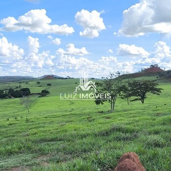 Vendo Fazenda Dupla Aptidão 247hectares Patos de Minas MG