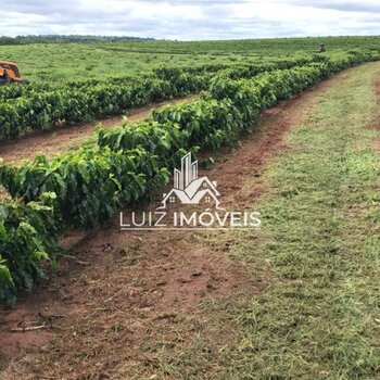 Vendo Fazenda MODELO CAFÉ 2350hectares Garça SP