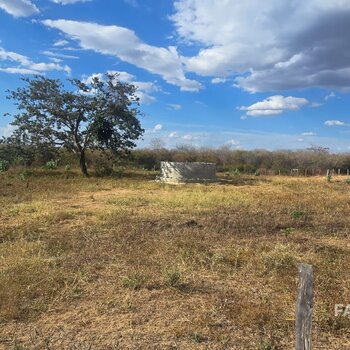 FAZENDA PARA PECUÁRIA