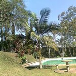 Imagem 13 de 14
