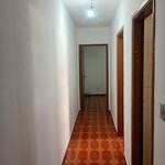 Imagem 14 de 26