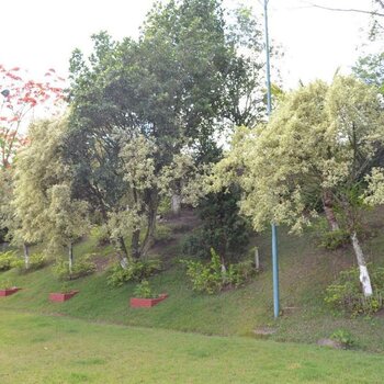 Chácara com 10 mil m² em Guararema com fácil acesso